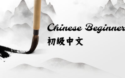 Chinese Beginner Class
